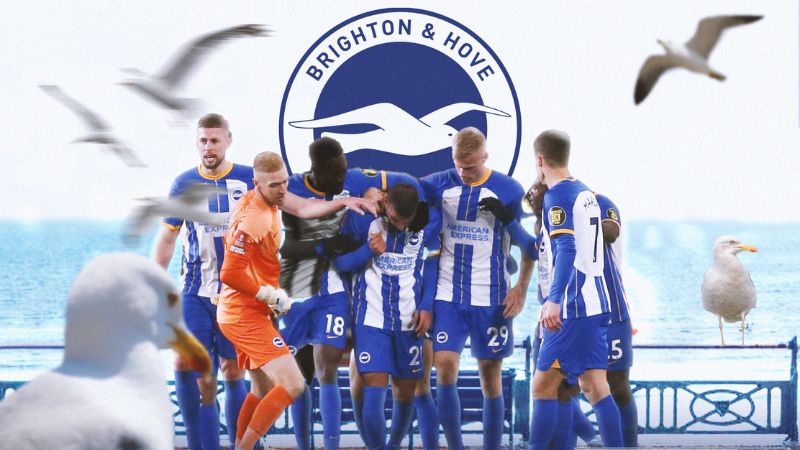 Quá trình phát triển của câu lạc bộ bóng đá Brighton & Hove Albion