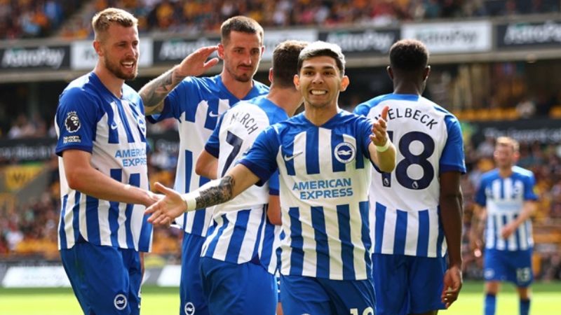 Đội hình cầu thủ chính thức của CLB Brighton & Hove Albion