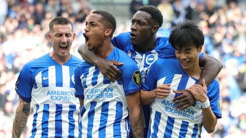 Thành tựu bóng đá của CLB Brighton & Hove Albion