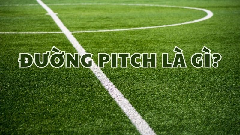 Khái niệm đường Pitch trong bóng đá là gì?