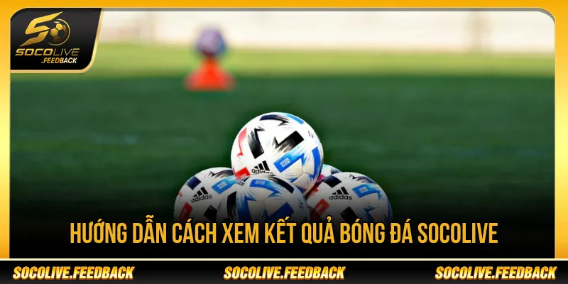 Kết Quả Bóng Đá Socolive Cập Nhật Liên Tục 24H Đầy Đủ Các bước theo dõi kết quả bóng đá tại Socolive