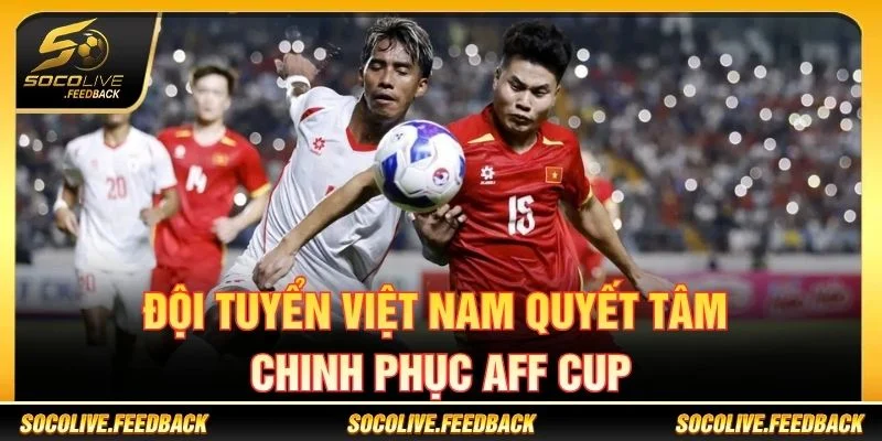 Đội tuyển Việt Nam tại AFF Cup