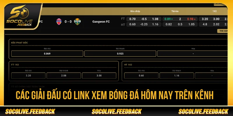 Link Xem Bóng Đá Hôm Nay - Cách Chọn Trận Nhanh Truy cập các giải đấu bằng link xem bóng đá hôm nay